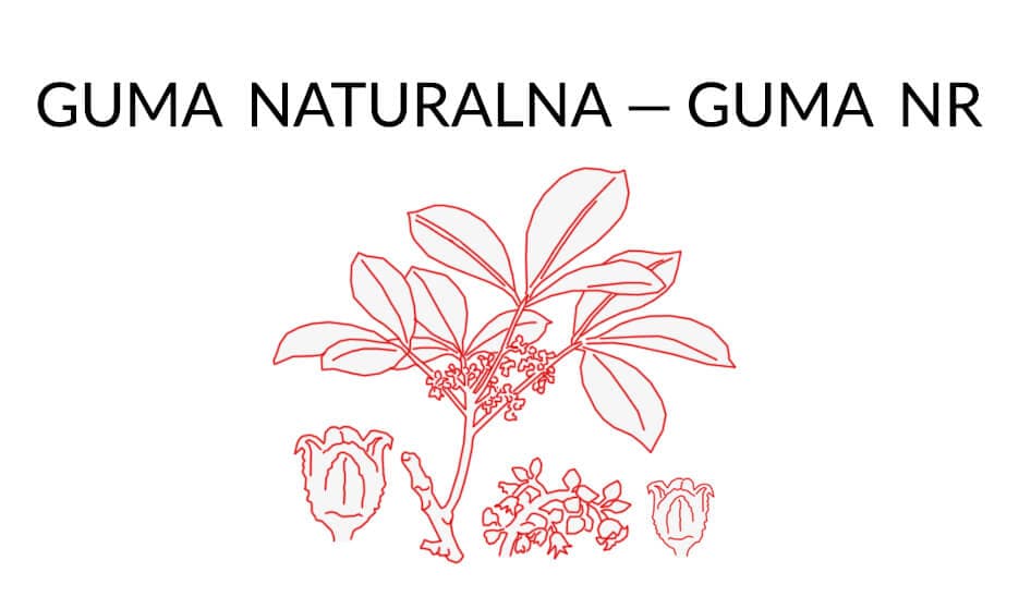 Guma Naturalna - Guma NR