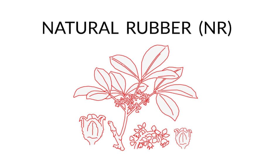 Natural Rubber - NR rubber